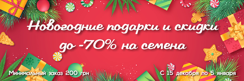 Новогодние скидки на семена до -70%