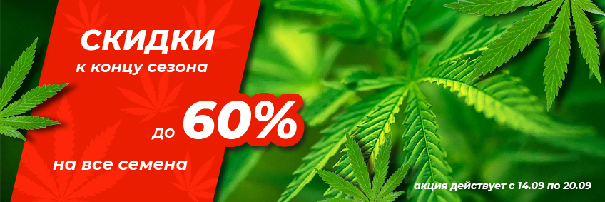 Скидки к концу сезона до -60%