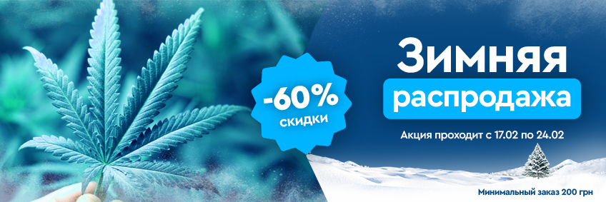 Зимняя распродажа семян конопли