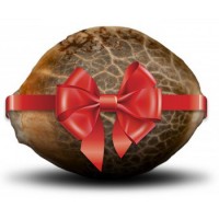 Бонусне насіння