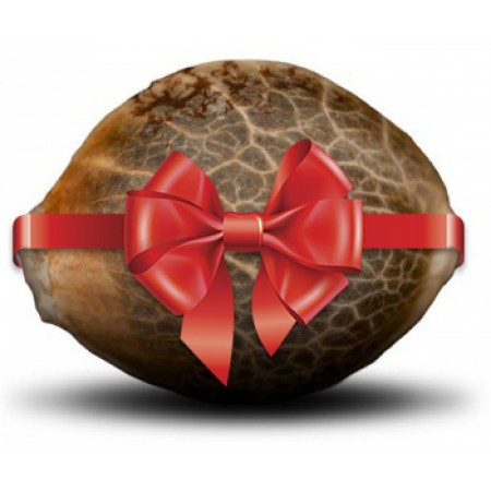 Бонусные семена