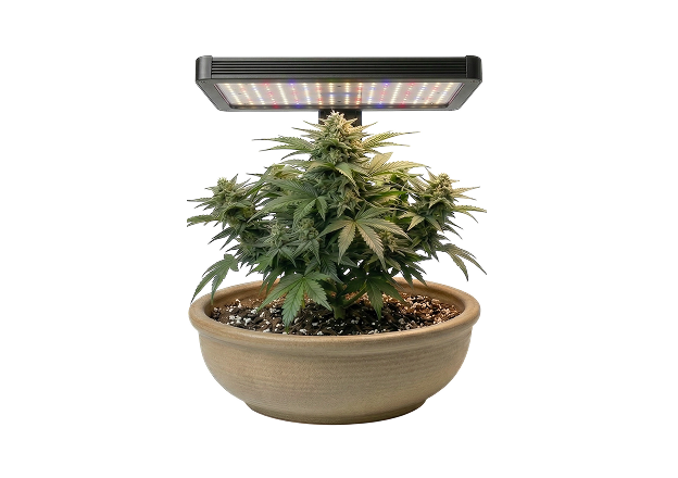 Для помещения