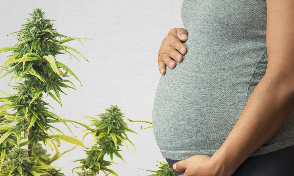 марихуаны для беременных