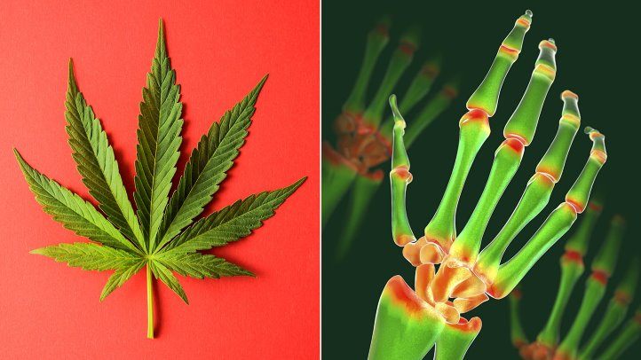 Конопля при артрите можно выращивать марихуану россии